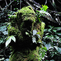 indonésie: Tahle socha mi neodbytně připomínala Tolkienovy nazghuly.