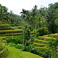 indonésie: Domy s výhledem na údolí musí být nesmírně romantické.