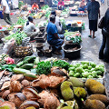 indonésie: Jack Fruit a kokosy...