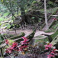 indonésie: Park at Goa Gajah.
