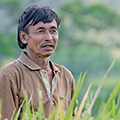 indonésie: One ordinary balinese guy in field. 
