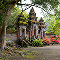 indonésie: Magnificent tree and exquisite gate.
