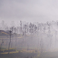 indonésie: Vítr a slunko společnými silami vyhánějí ranní mlhu.
