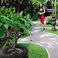 indonésie: Zahrada hotelu Family Guesthouse je neskutečná, stěny zeleně oddělují jednotlivé domečky, navozují pocit soukromí. Ta střecha vzadu ja naše :)